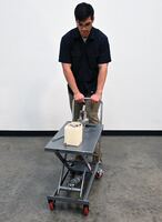 CART-200-ALUM_M.jpg