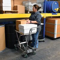 CART-300-SS3
