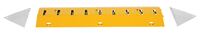 TSPIKE-39_B.jpg